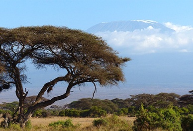 tanzánie - kilimanjaro